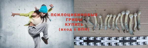 spice Приозерск