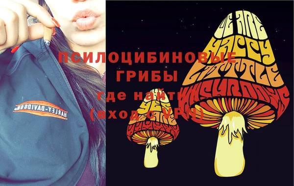 мяу мяу мука Абдулино
