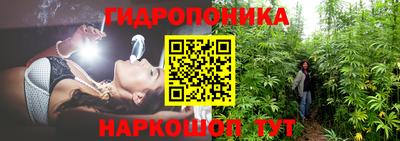 мяу мяу мука Шебекино
