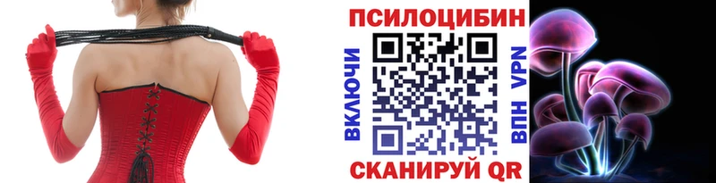 даркнет какой сайт  Моршанск  Галлюциногенные грибы MAGIC MUSHROOMS  наркота 