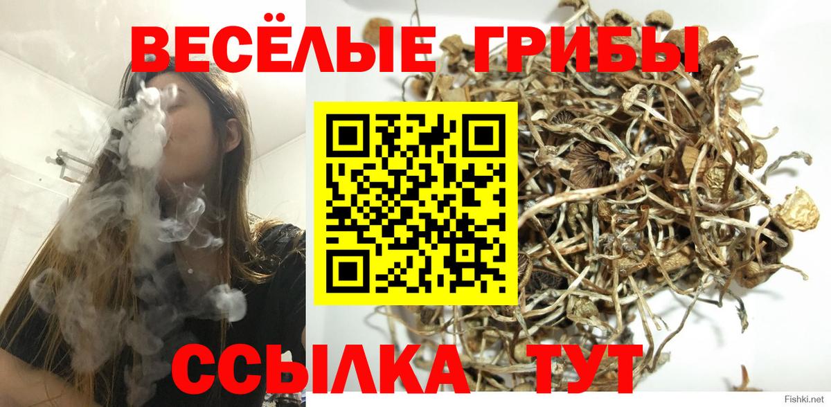 Галлюциногенные грибы мухоморы Моршанск