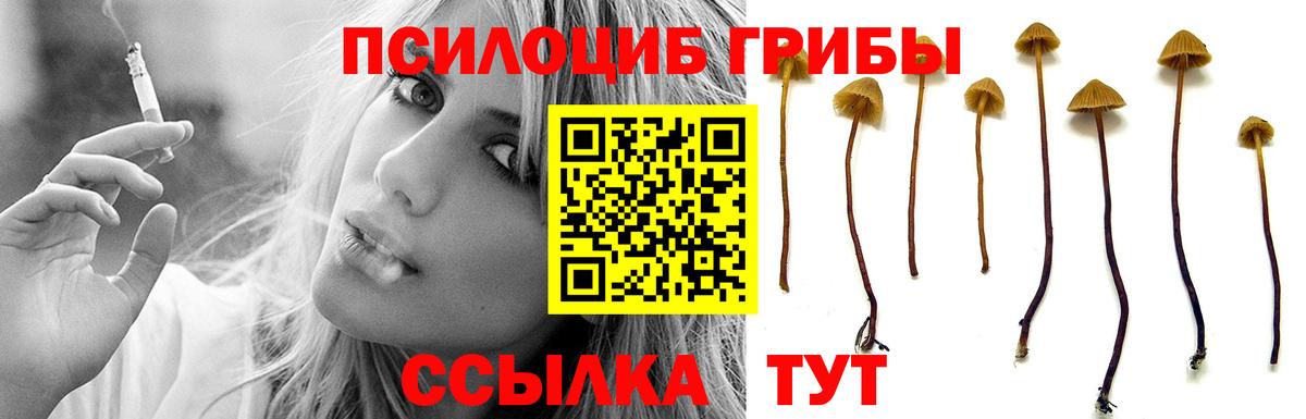 Моршанск  Галлюциногенные грибы GOLDEN TEACHER  Вход с VPN  Псилоцибиновые грибы Psilocybine cubensis 